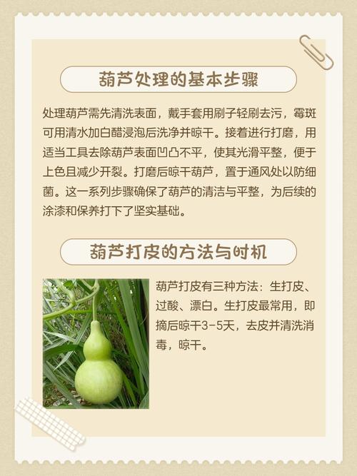 风水木葫芦可依用来清洗家居用品吗？