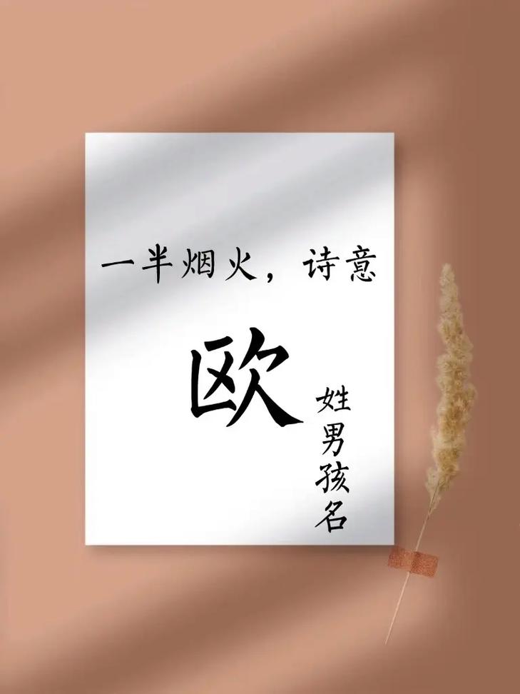 欧姓有涵养的男宝宝名字有哪些好听的选项？