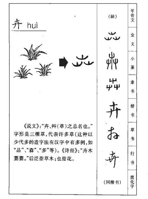 卉字五行属什么？如何根据五行给卉字女孩起名？