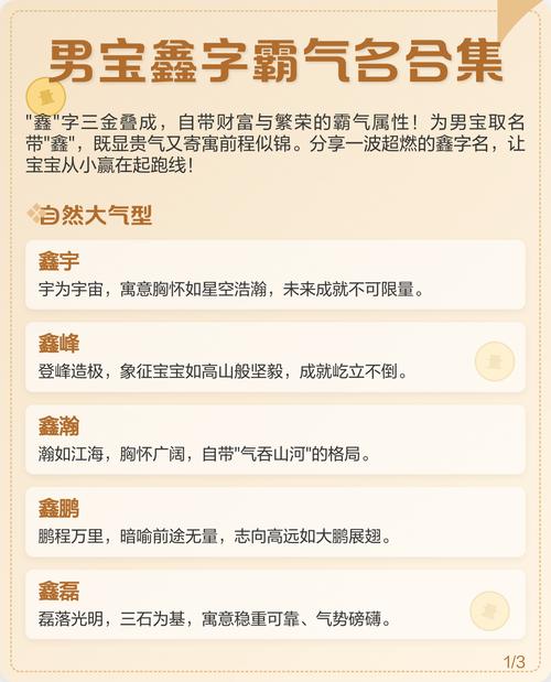 男孩用鑫字取名，能否寓意财富滚滚，前程似锦？