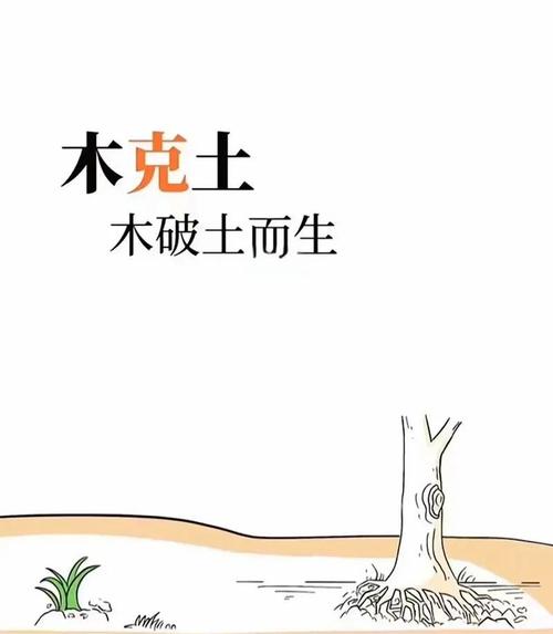 为什么木命人偏爱火命，火命人又梗倾向于木还是金？