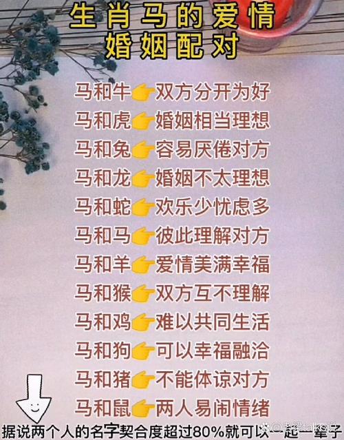 两个属马的人结婚，他们的婚姻会怎样？