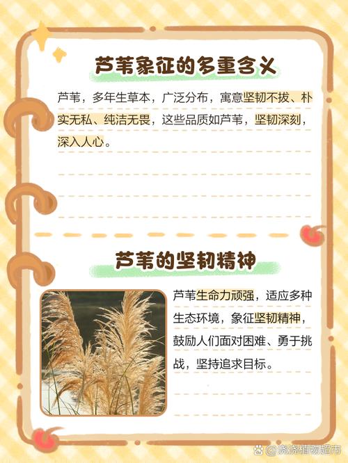 苇字五行属什么？女孩取名寓意有哪些？