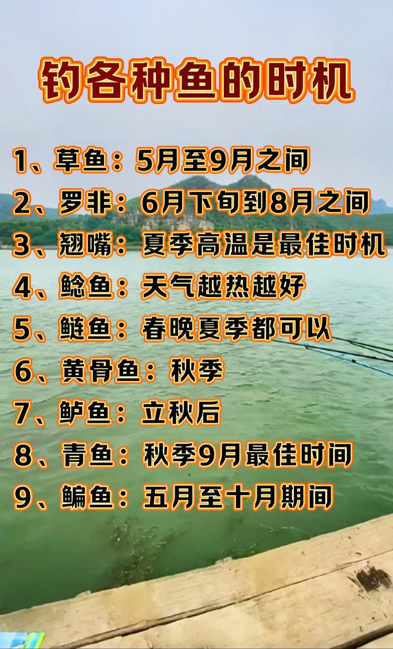 2026年农历正月十一这天适合钓鱼吗？当天钓鱼效果如何？