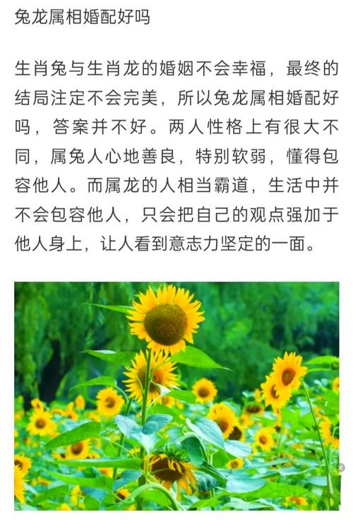 1988年龙年和1987年兔年合吗，这是否意味着双喜临门？