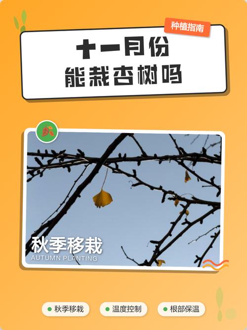 2025年11月30日农历十月十一适合栽树吗？这天可以种树吗？
