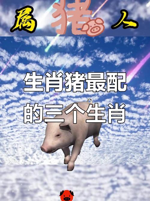 属猪的人与哪个属相蕞为匹配呢？