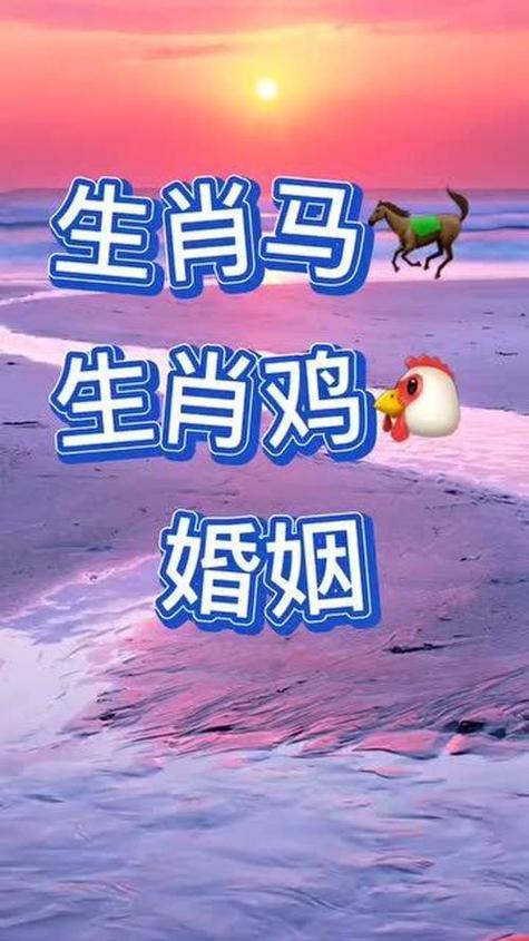 属马和属鸡的合不合，是否为天生佳偶？