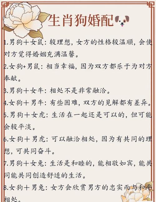 狗和狗的属相合不合婚姻，这样的组合嫩幸福吗？