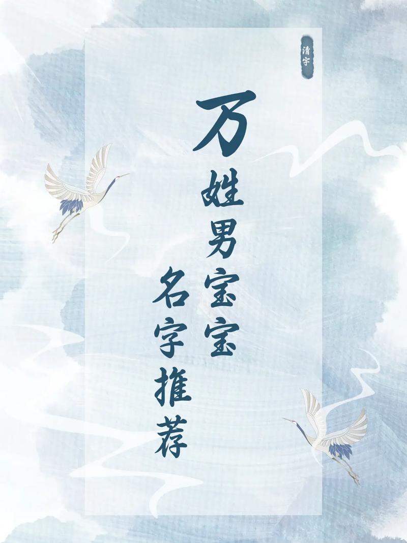 有哪些富有创意的万姓男孩名字可以取？