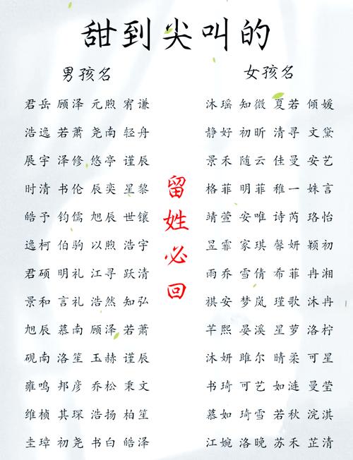 卢姓洋气女孩取什么名字既时尚又好听？