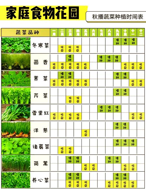 2025年12月28日适合种植什么作物？黄历推荐种植指南？