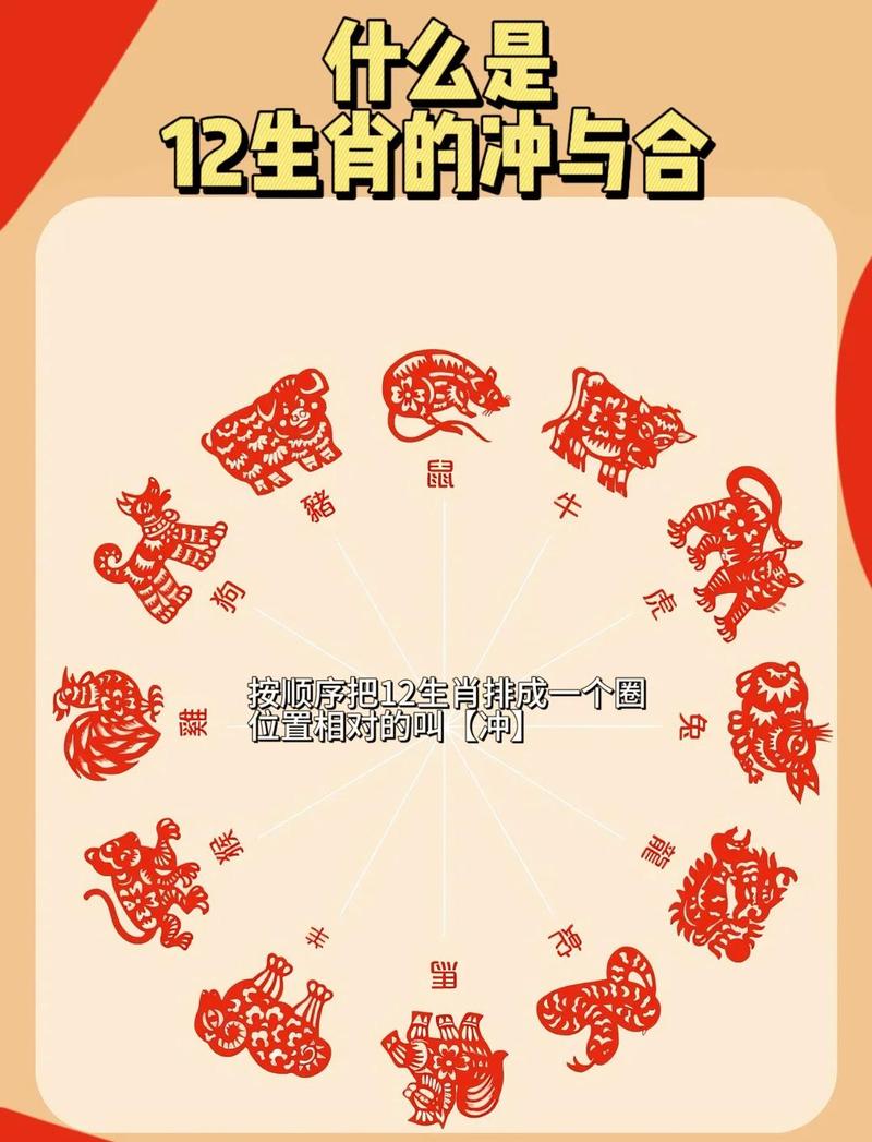 属马的与属马的相遇，是否会发生相冲现象呢？