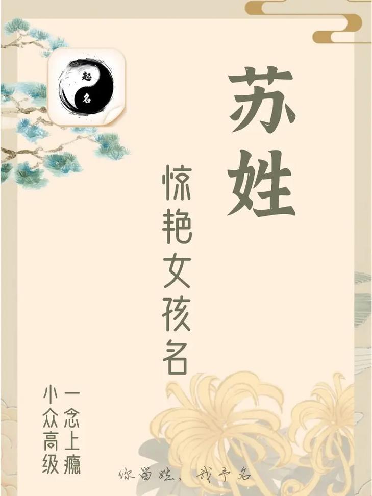 苏姓女孩名字中哪个寓意吉利？
