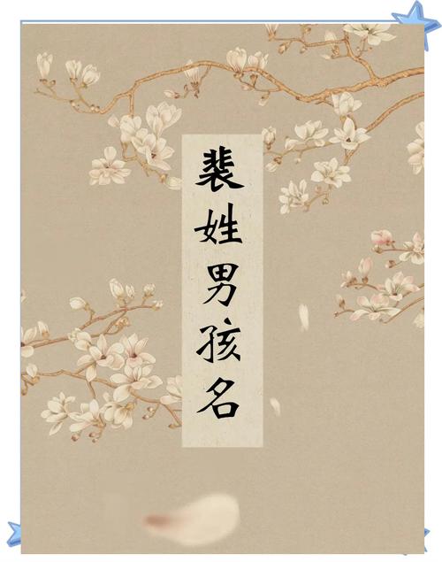 裴姓男孩取有气质的名字，有没有什么好的建议呢？