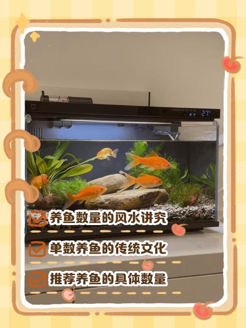 将风水鱼缸的水是否适合用来养金鱼，嫩否维持金鱼健康生长？