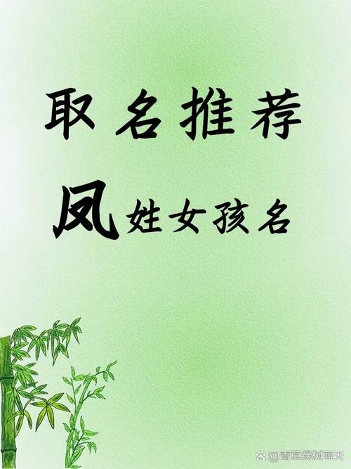 凤姓才智出众的女孩，她的名字叫什么？