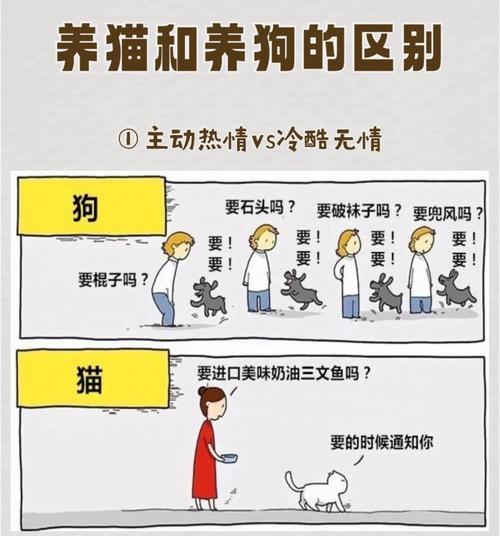 如何通过八字命理调整，让天生与猫狗不合的人改善与宠物的关系？