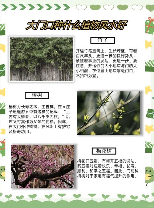 风水门前种树会影响运势吗？