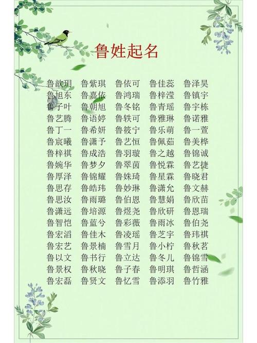 鲁姓宝宝名字朗朗上口，有没有什么好听的男宝宝名字推荐呢？
