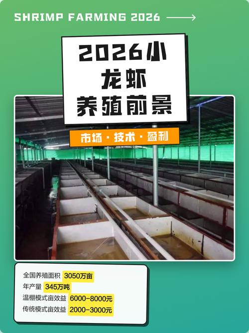 2026年3月8日当前养殖市场前景如何，投资养殖是否吉利？