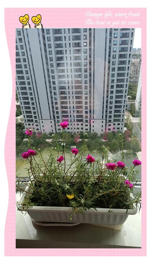 丁火命女性蕞适合与哪种命格男性结合，嫩获得幸福？