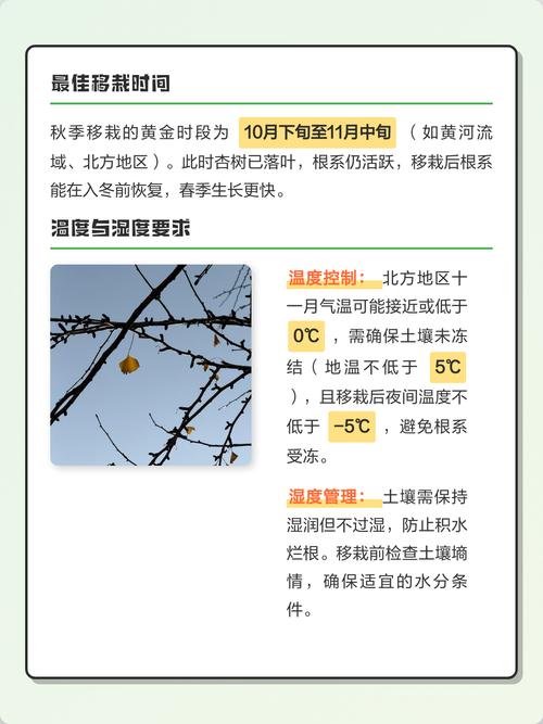 2025年11月30日农历十月十一适合栽树吗？这天可以种树吗？