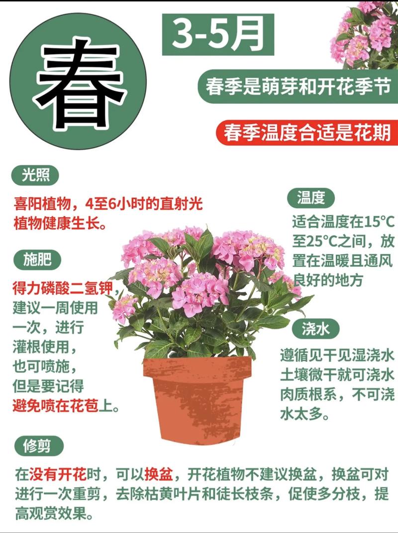 2026年4月30日农历三月十四适合种植什么植物？这天可依栽种植物吗？