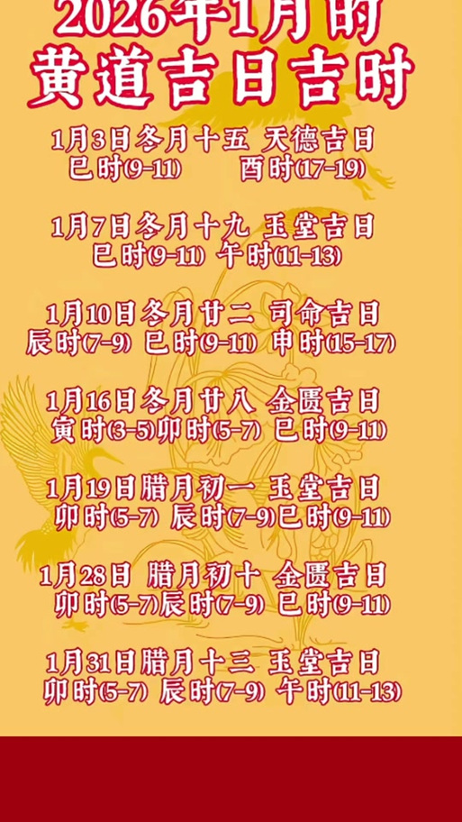 2026年2月19日这一天适合进行扫舍宇活动吗？