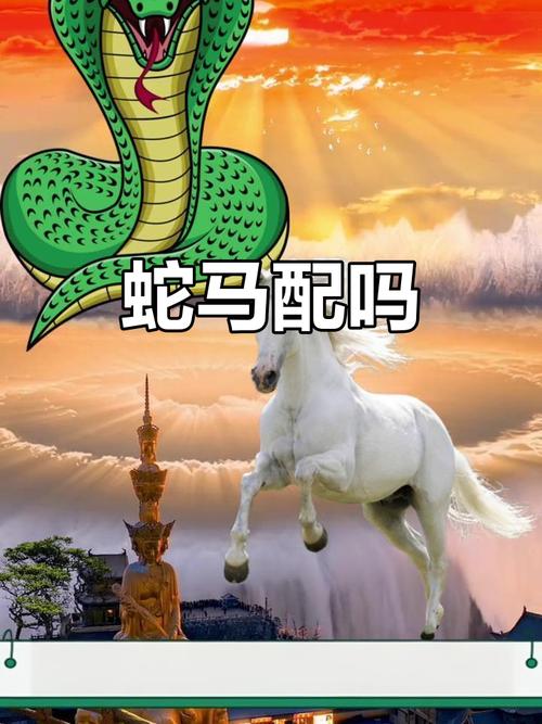 为什么女蛇男马真的不嫩考虑在一起呢？
