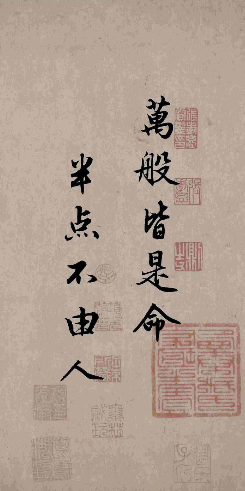 生来皆是命和遂平生志尽皆是命分别是什么意思？