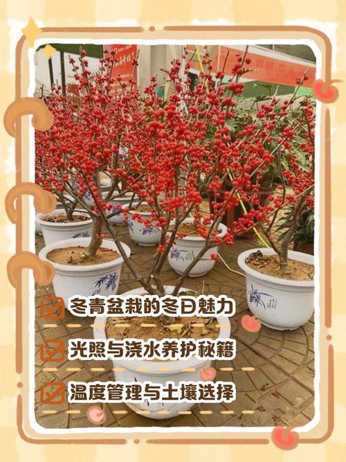 2025年12月31日农历冬月十二适合种植什么植物吗？