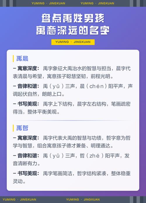 如何根据风水和五行原理，为禹姓男宝宝起一个既冷门又独特的名字？