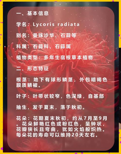 连花命遇意什么花姐命是什么意思，如何判断自己是不是花姐命？