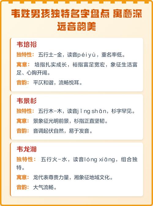 韦姓洋气男宝宝名字有哪些推荐？能否提供一些时尚又好听的选项？