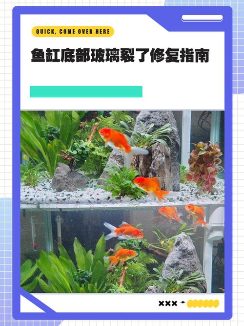 鱼缸裂了风水上究竟有何讲究，会影响家居运势吗？