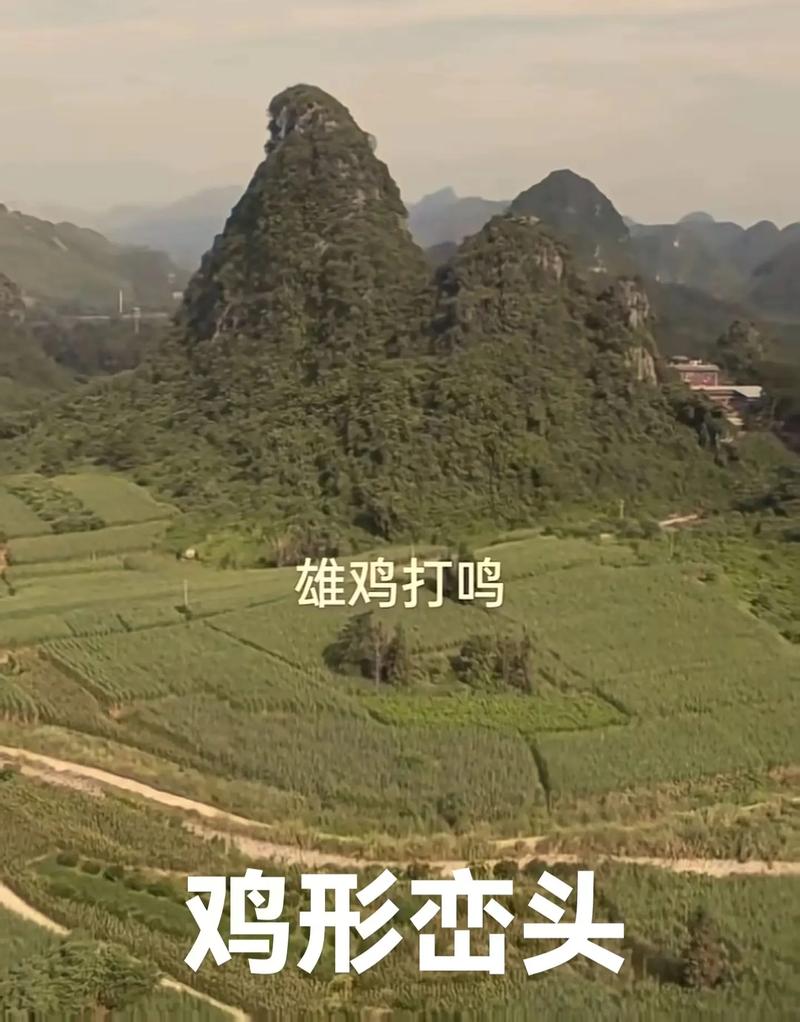 黄公鸡与风水之间是否存在某种神秘联系？