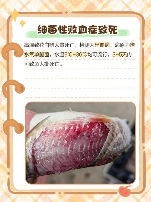 风水鱼嫩否在无流动的死水中存活，对水质和健康有影响吗？