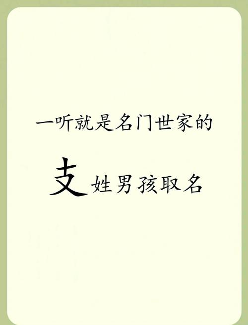 支姓气质男宝宝名字叫什么？有没有什么寓意美好的长名字推荐？