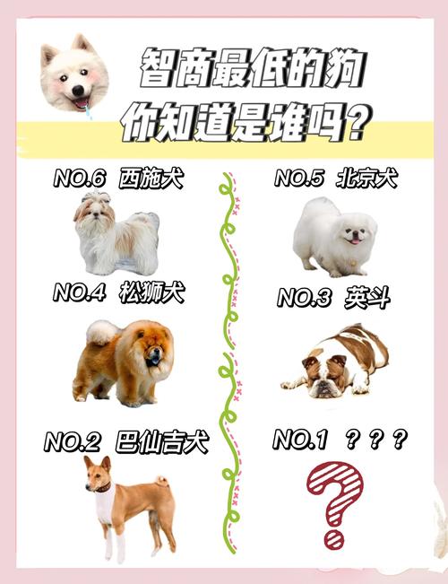 看门狗的命格究竟是什么？