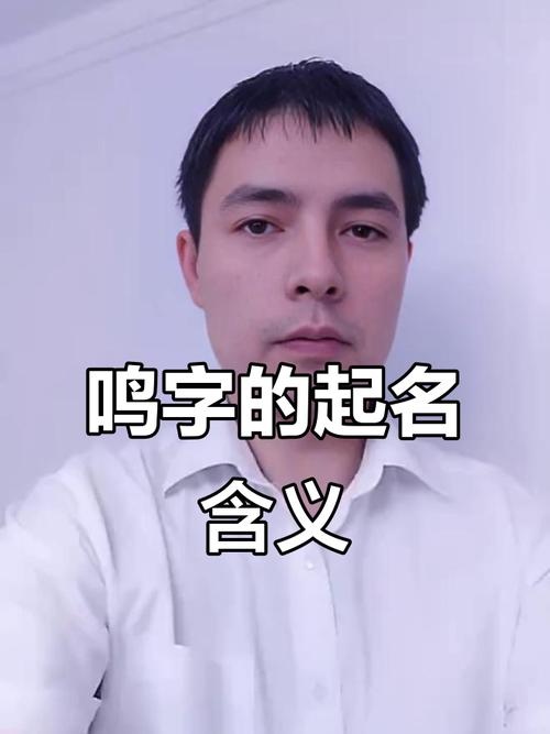 男孩起名时如何运用鸣字的风水寓意？