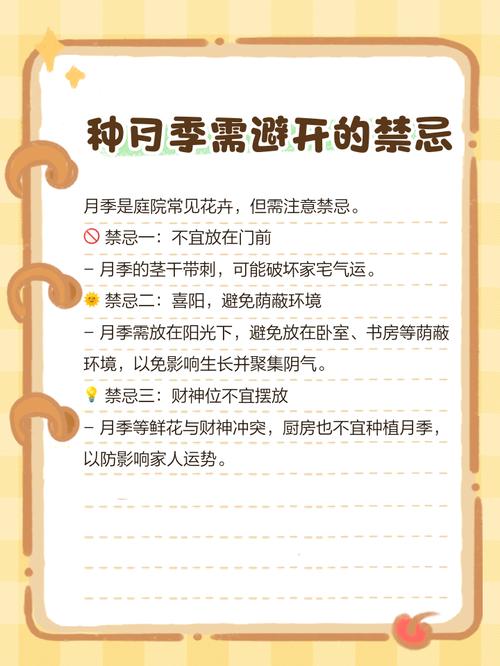 家里风水忌讳种植月季花吗？