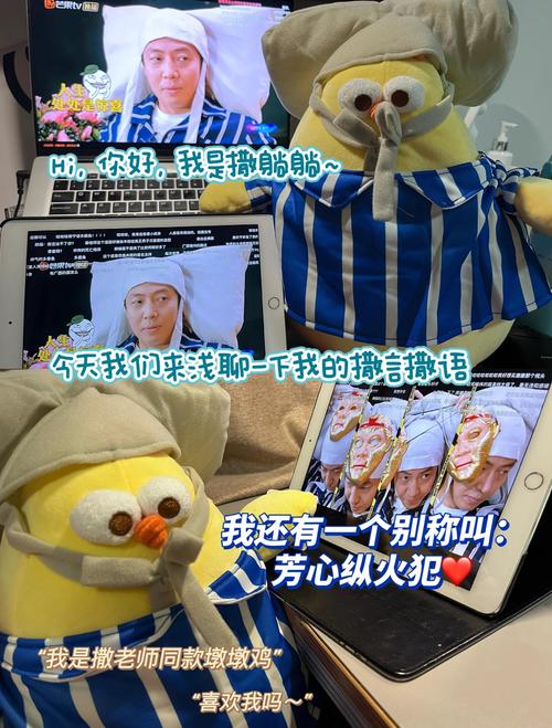 撒贝宁究竟拥有什么样的特殊命格？