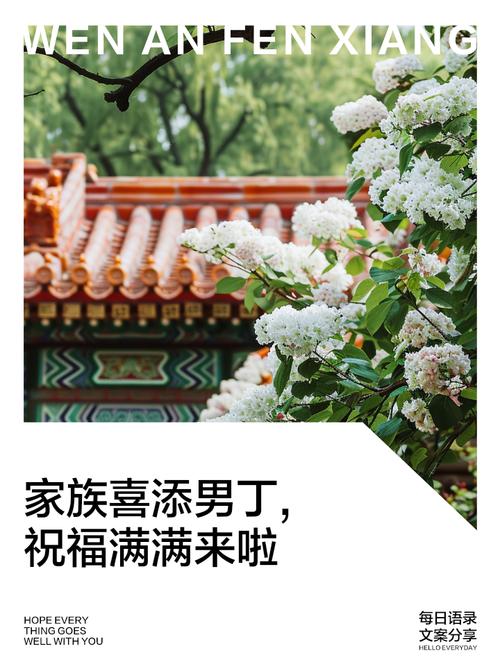家里添丁后有哪些风水上的益处或好处呢？