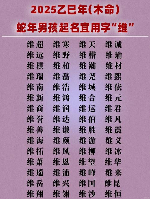 维字五行属什么男孩取名寓意有哪些？