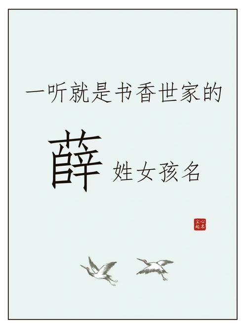 薛姓女孩取有涵养的名字，有没有什么好的建议？
