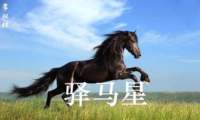 八字命盘中出现驿马星，这是否意味着我的人生中会有频繁的迁徙或旅行？
