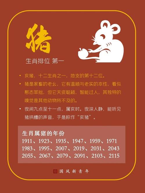 属猪人适合从事什么职业，立业命是否适合这些工作？
