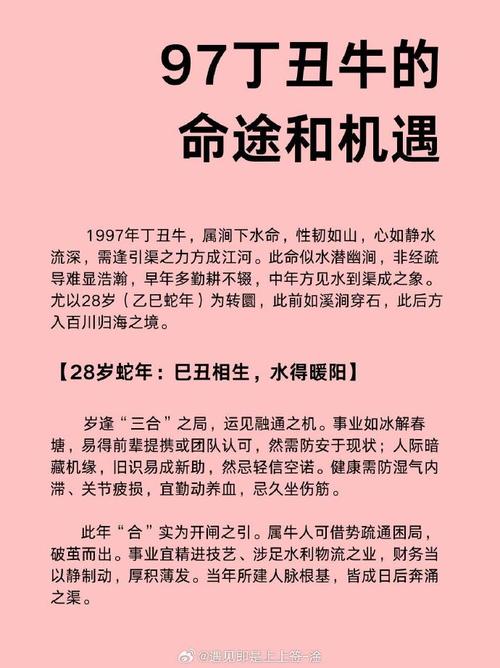 1997年属牛涧下水的人适合什么命？