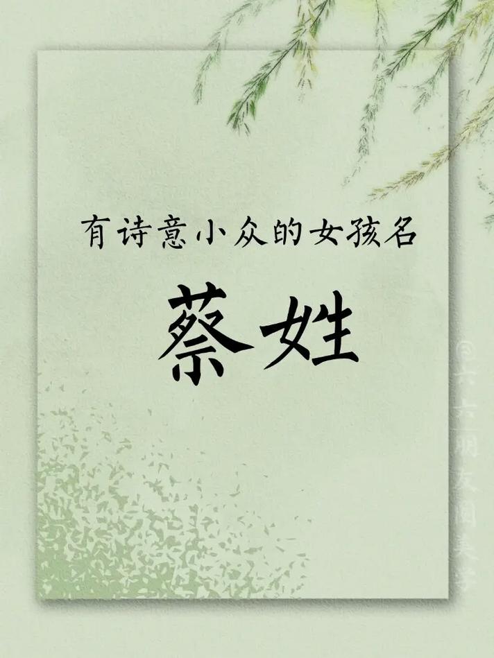 姓蔡的女孩取有涵养的名字，有没有什么好的建议？
